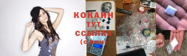 трава Абаза