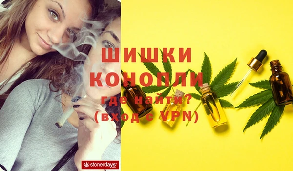 трава Абаза