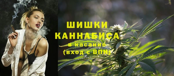 твердый Алзамай