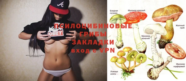 прущие грибы Алексеевка