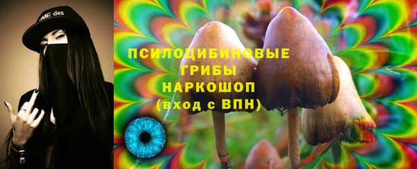 трава Абаза