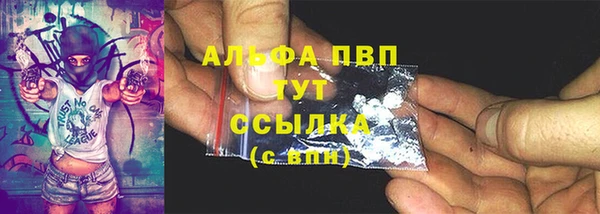 молекула духа Протвино