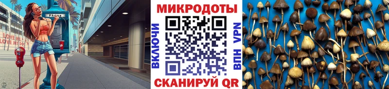 Псилоцибиновые грибы прущие грибы Княгинино